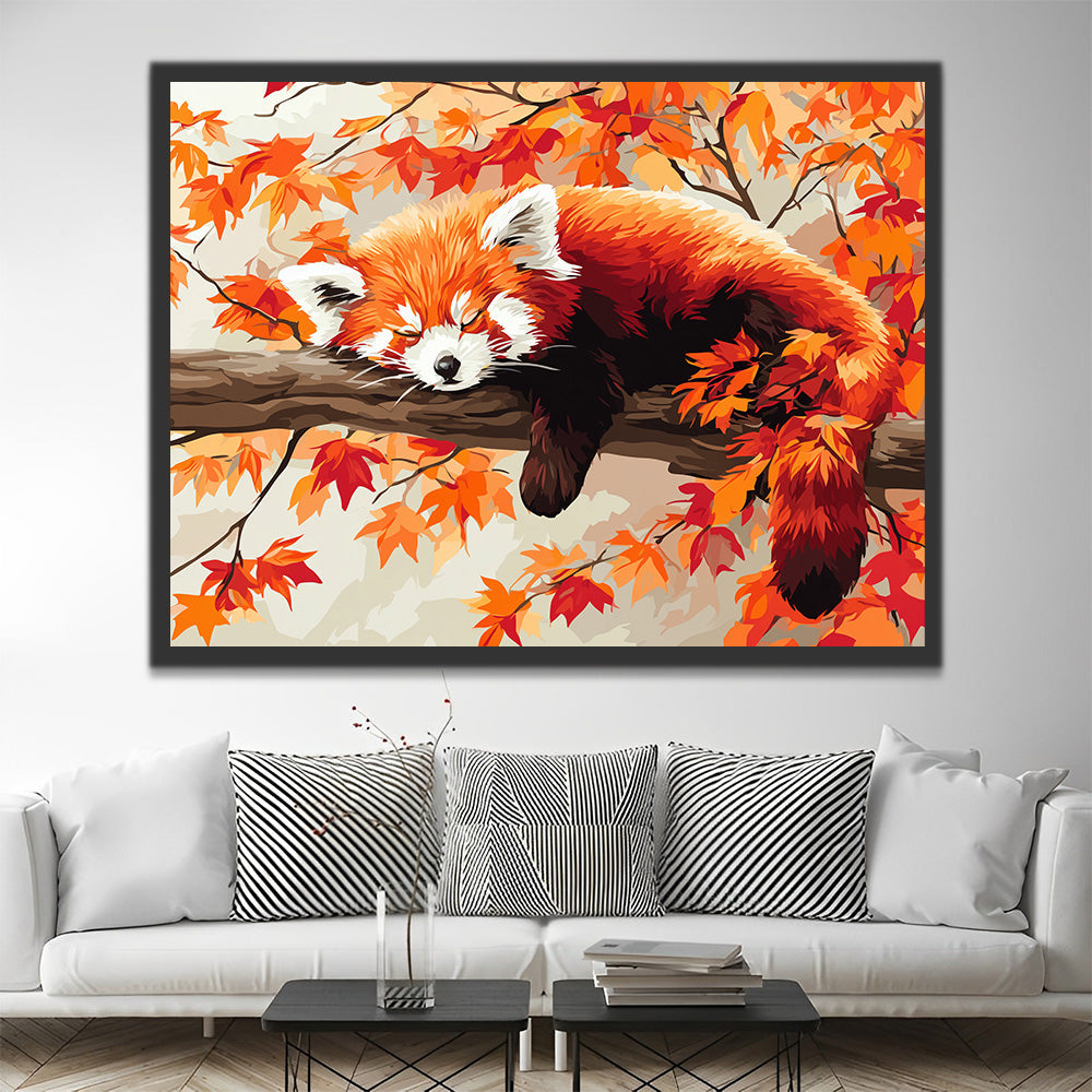 Panda Rojo Durmiendo en Árbol de Arce Rojo Pintar por Números