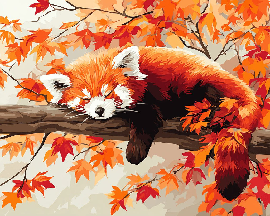 Panda Rojo Durmiendo en Árbol de Arce Rojo Pintar por Números