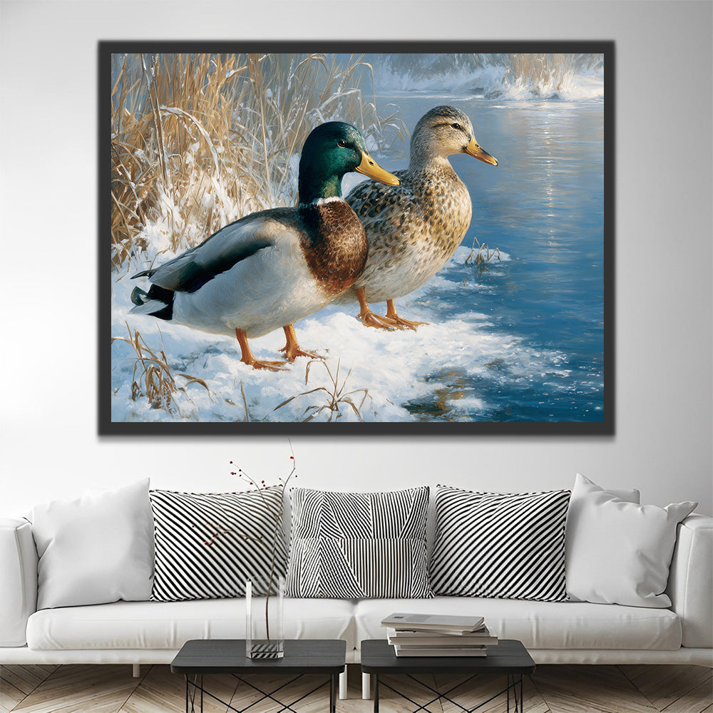 Patos Salvajes junto al Río de Invierno Pintar por Números