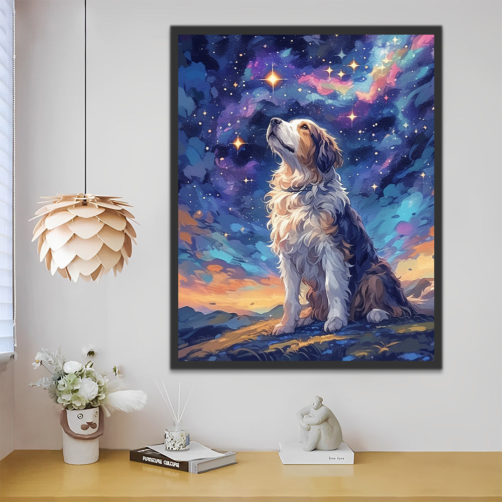 Perro Mirando Cielo Estrellado Pintar por Números