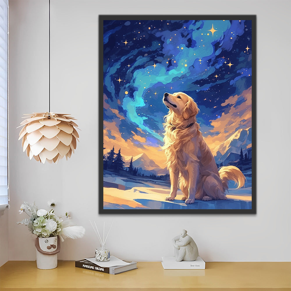Perro Mirando Cielo Estrellado Pintar por Números