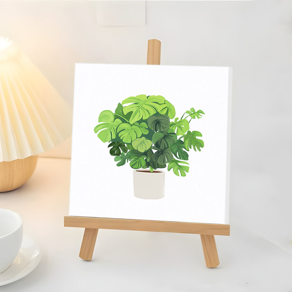 Planta Monstera en Maceta Mini Pintar por Números
