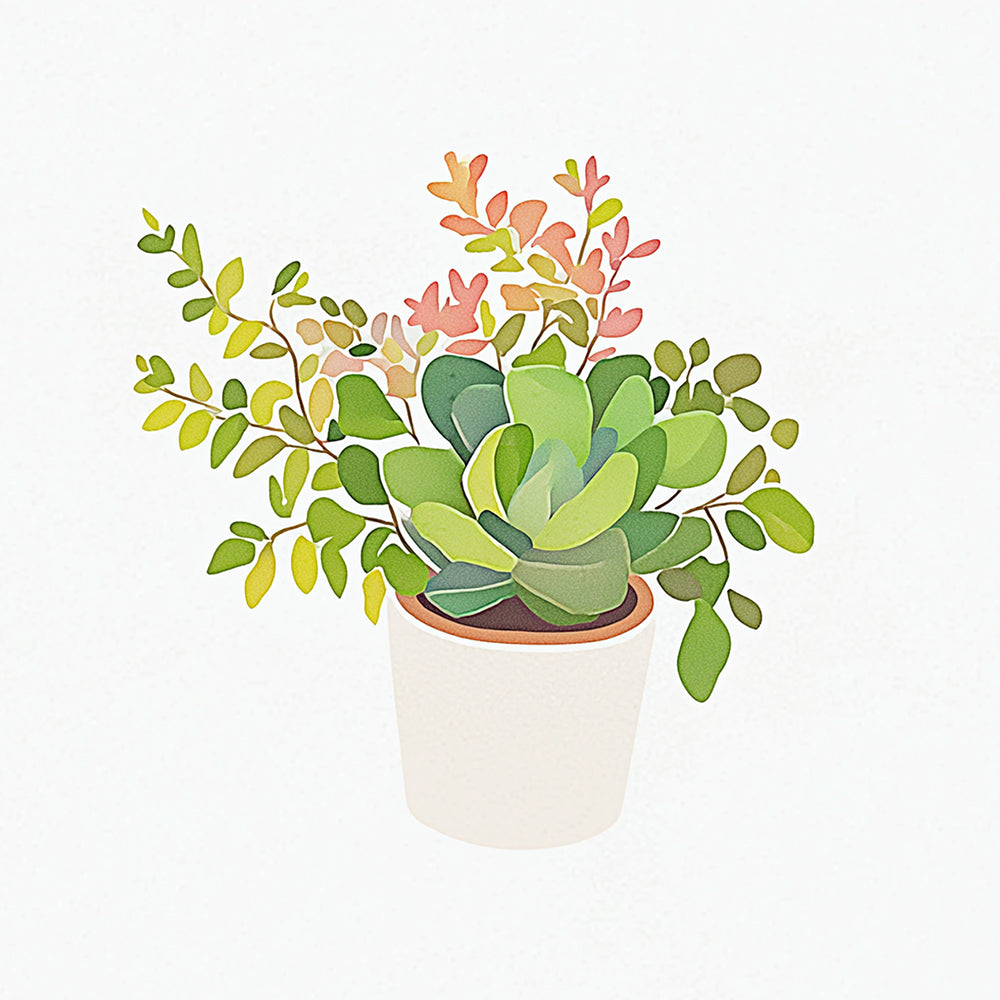 Plantas Suculentas en Maceta Mini Pintar por Números