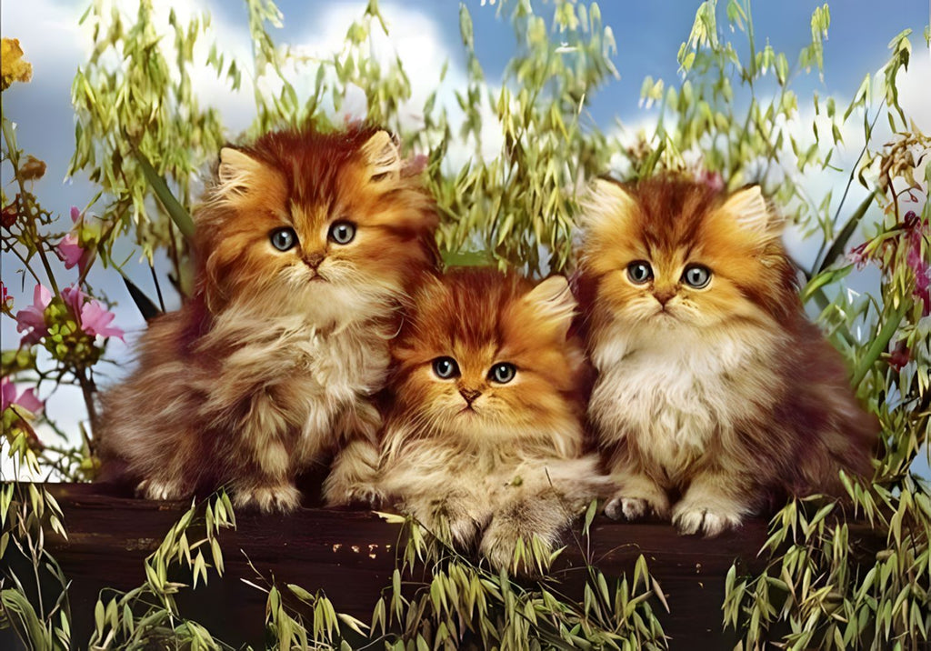 Tres Gatos en la Rama de Árbol Pintar por Números