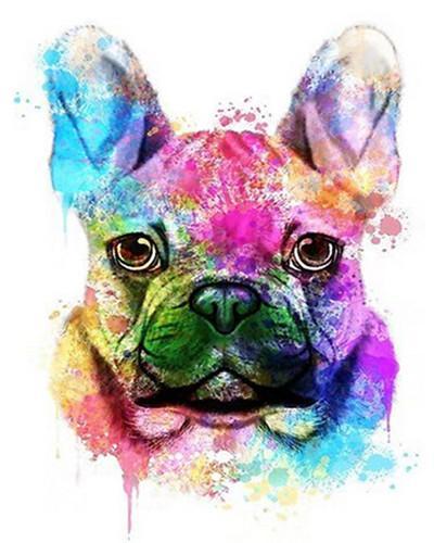 Animal Perro Pintar por Números PBNDOGL44