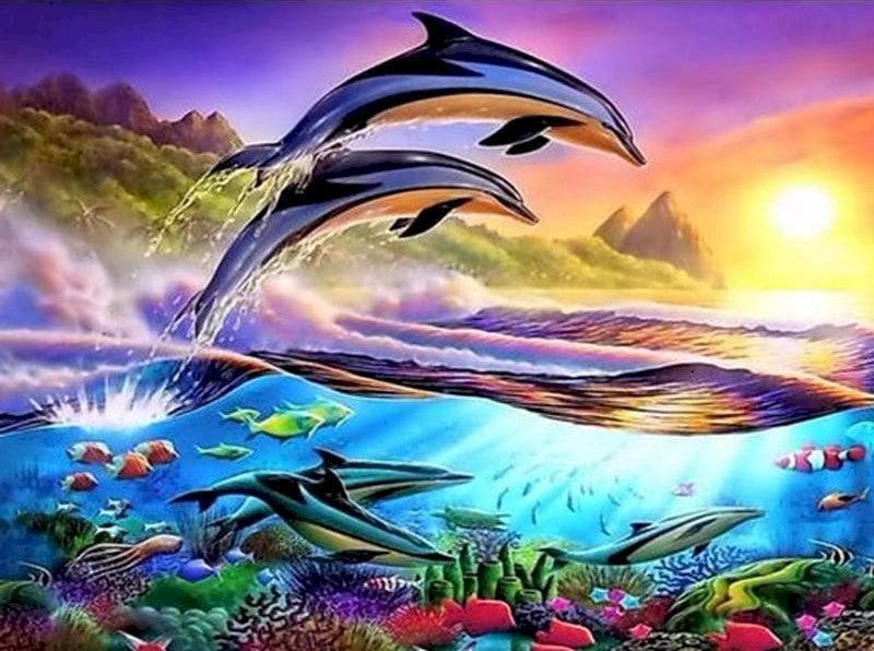 Pintura por Números delfines (40x50 cm)