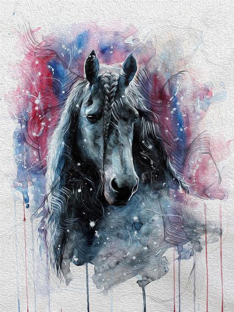 Animal Caballo Pintar por Números PBNHOUL10