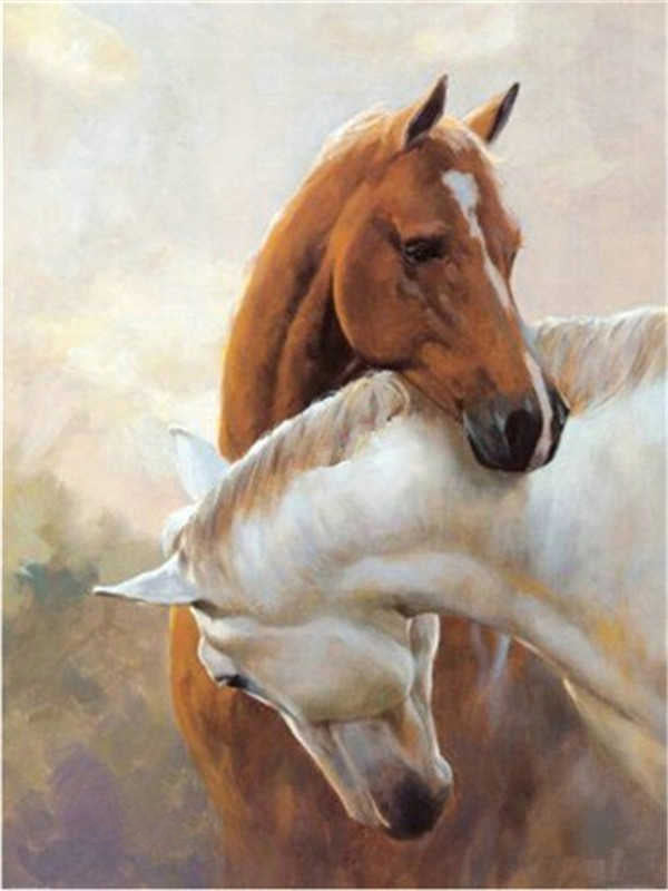 Animal Caballo Pintar por Números PBNHOUL131