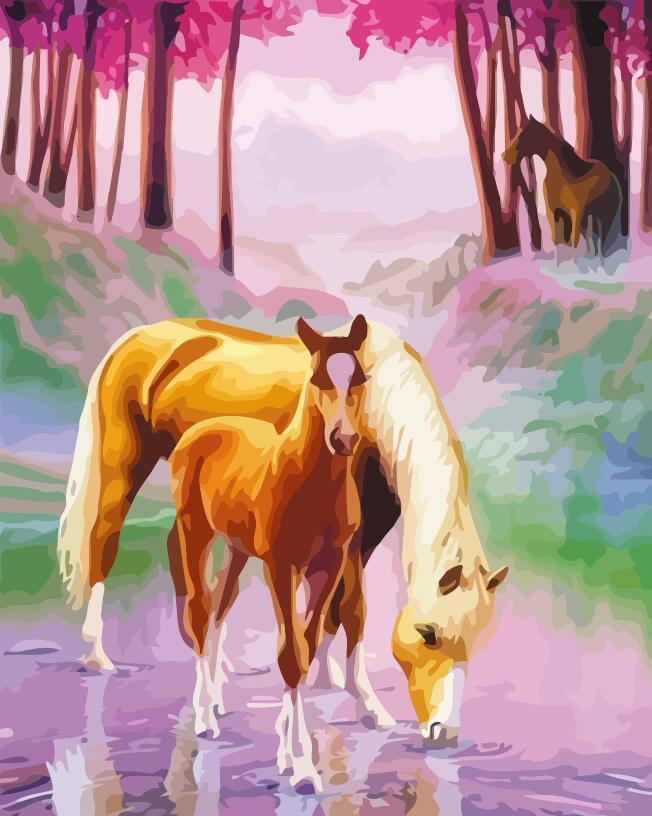 Animal Caballo Pintar por Números PBNHOUL36