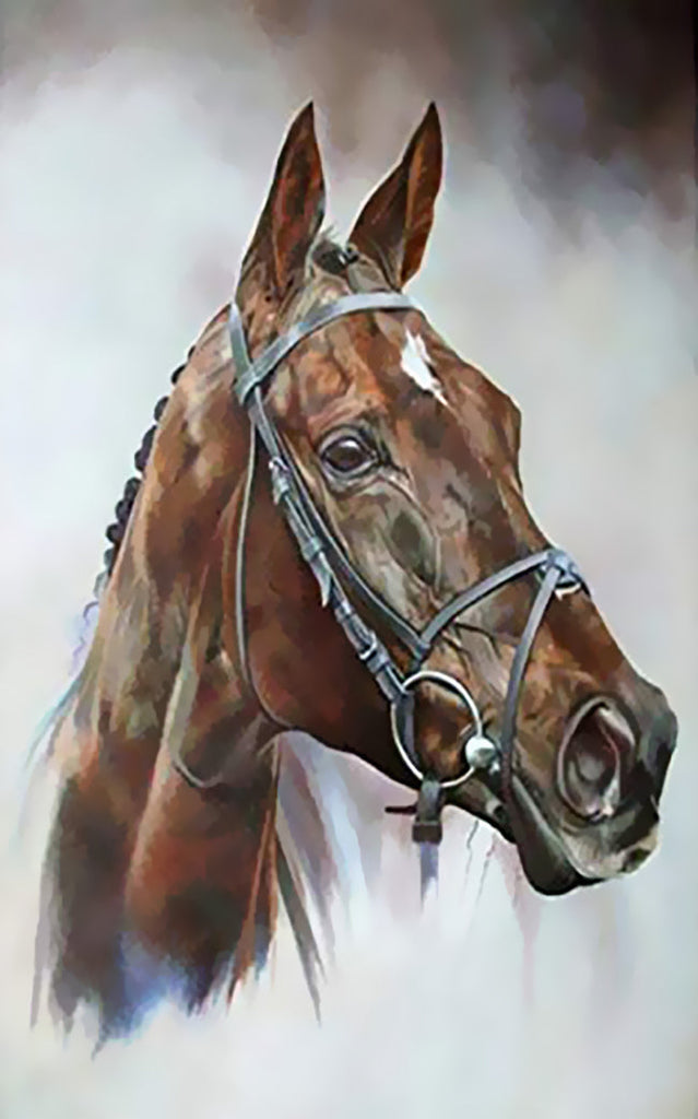 Animal Caballo Pintar por Números PBNHOUL87