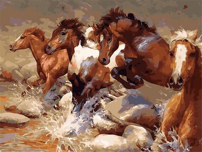 Animal Caballo Pintar por Números PBNHOUW29