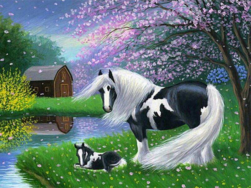 Animal Caballo Pintar por Números PBNHOUW31