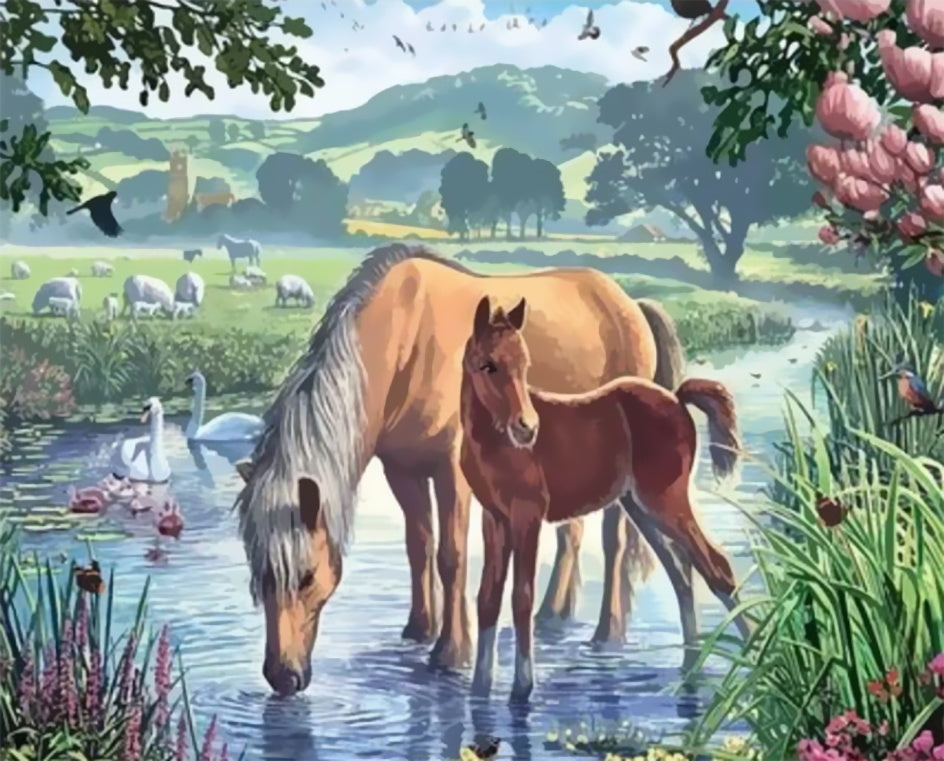 Animal Caballo Pintar por Números PBNHOUW57