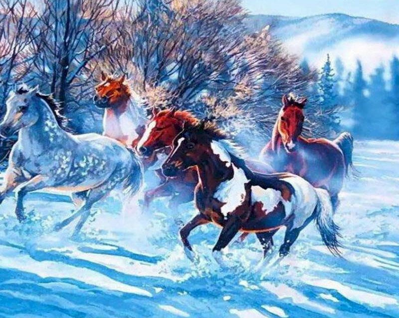 Animal Caballo Pintar por Números PBNHOUW70