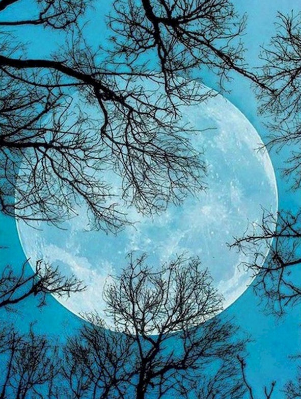 Paisaje Naturaleza Luna Pintar por Números PBNNATL250