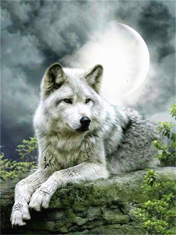 Animal Lobo Pintar por Números PBNWOLFL11