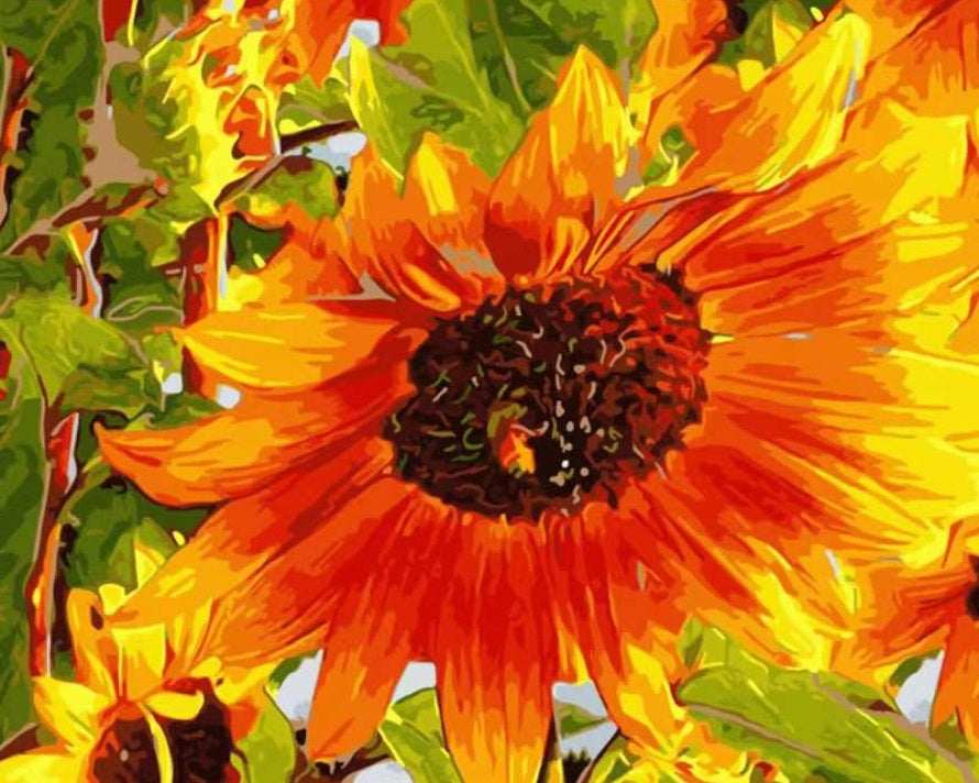 Abeja y Girasol Hermoso al Sol Pintar por Números