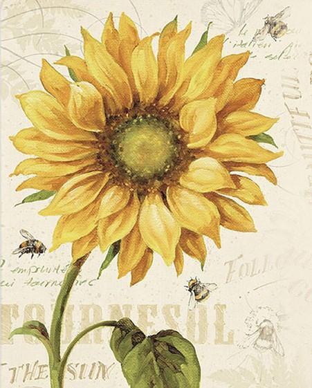 Abejas y Girasol con Fondo de Papel Pintar por Números