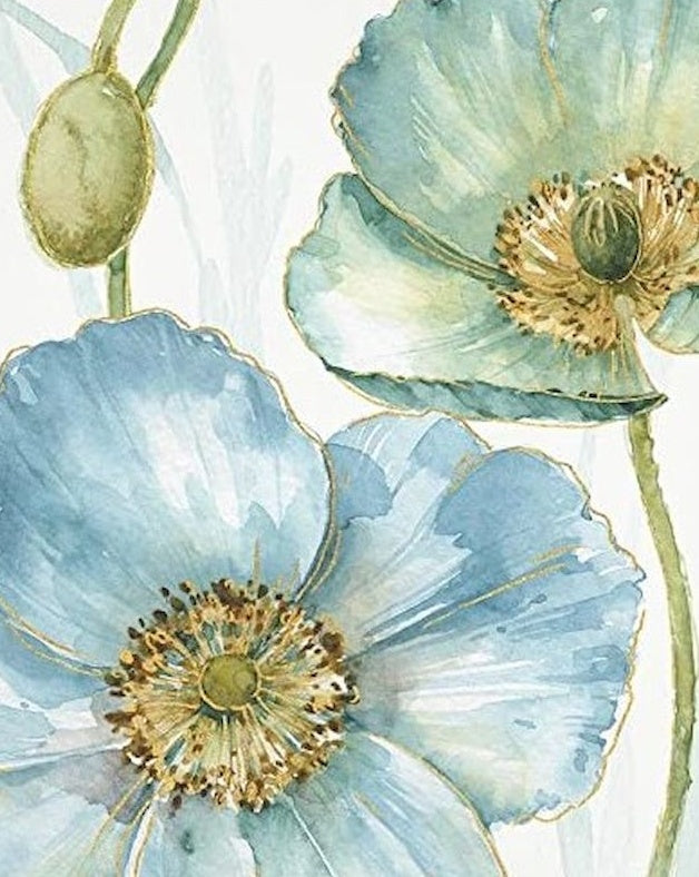 Acuarela de Dos Amapolas de Color Azul y Verde Pintar por Números