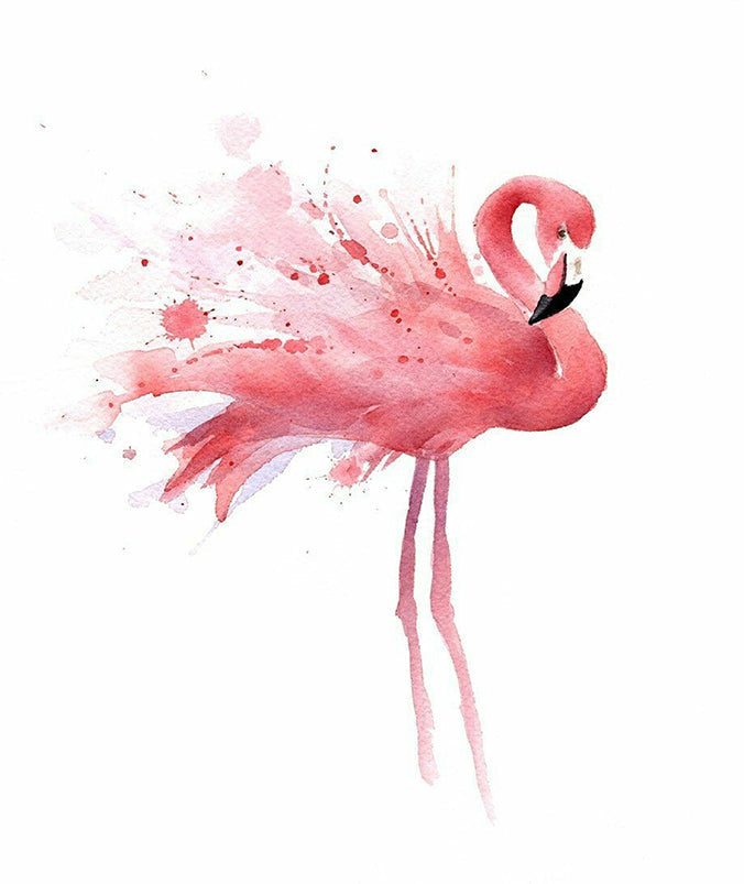 Acuarela de Flamenco Rosa Pintar por Números