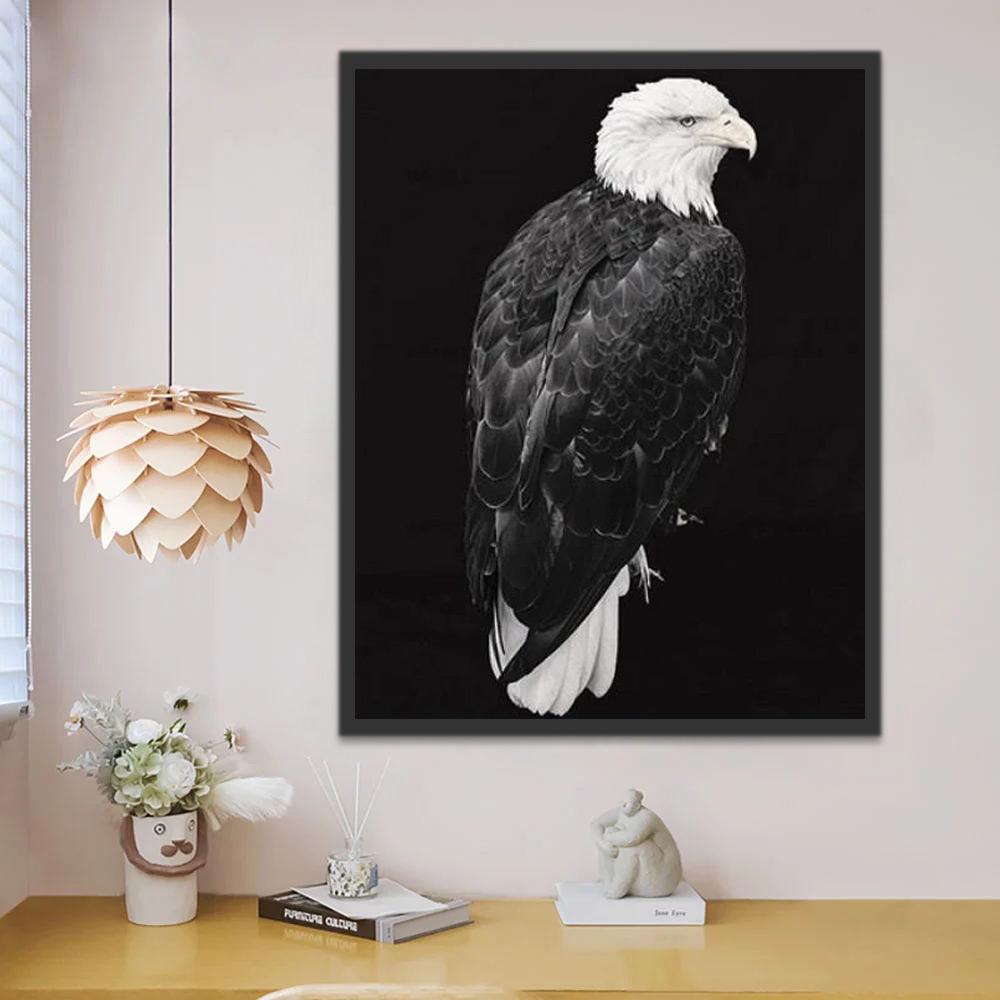 Águila Blanca y Negra Pintar por Números