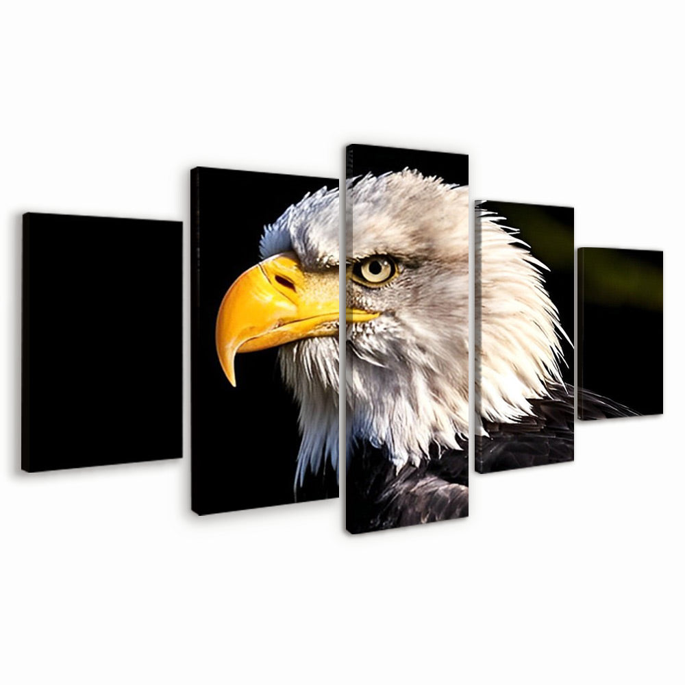 Águila Silvestre 5 Partes Pintar por Números