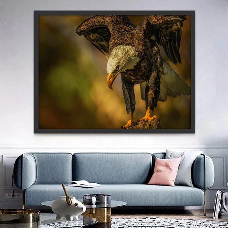 Águila Silvestre Volando Pintar por Números