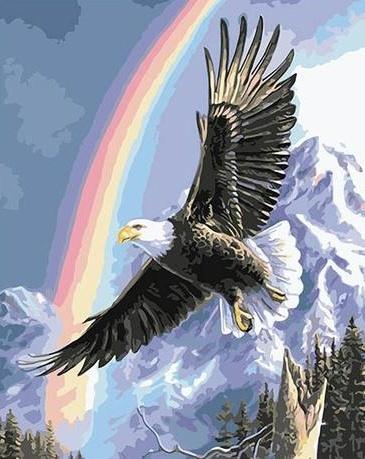Águila Volando y Arco Iris Pintar por Números