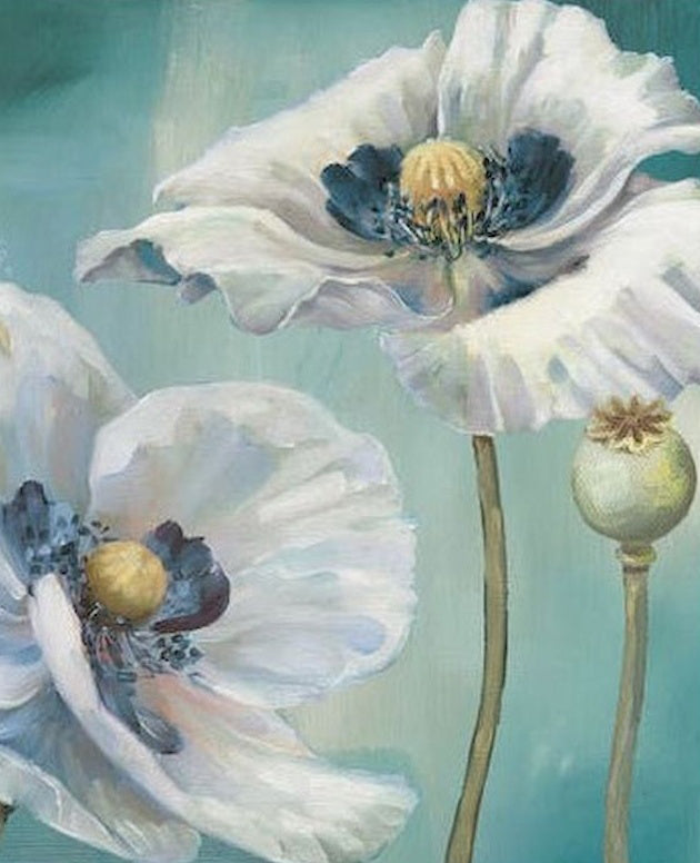 Amapola Blanca y Azul con Planta de Opio Pintar por Números