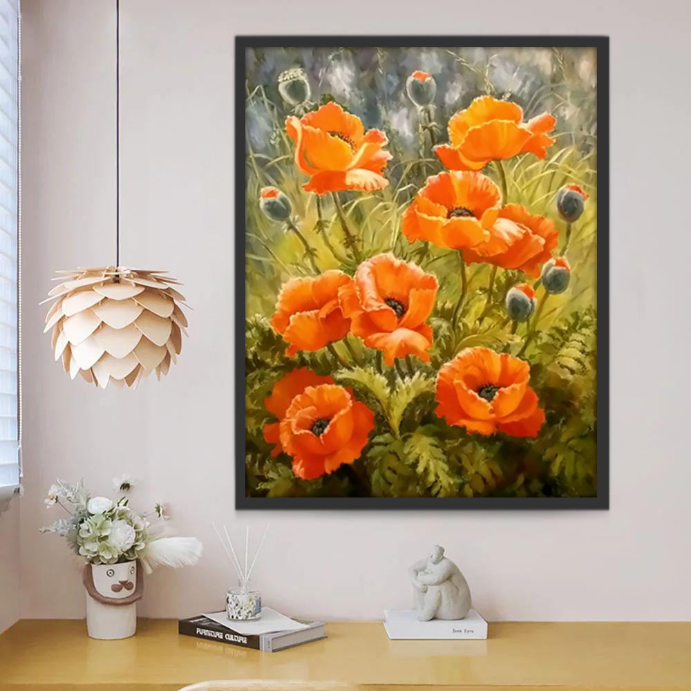 Amapolas Anaranjadas Silvestres y Plantas de Opios Pintar por Números