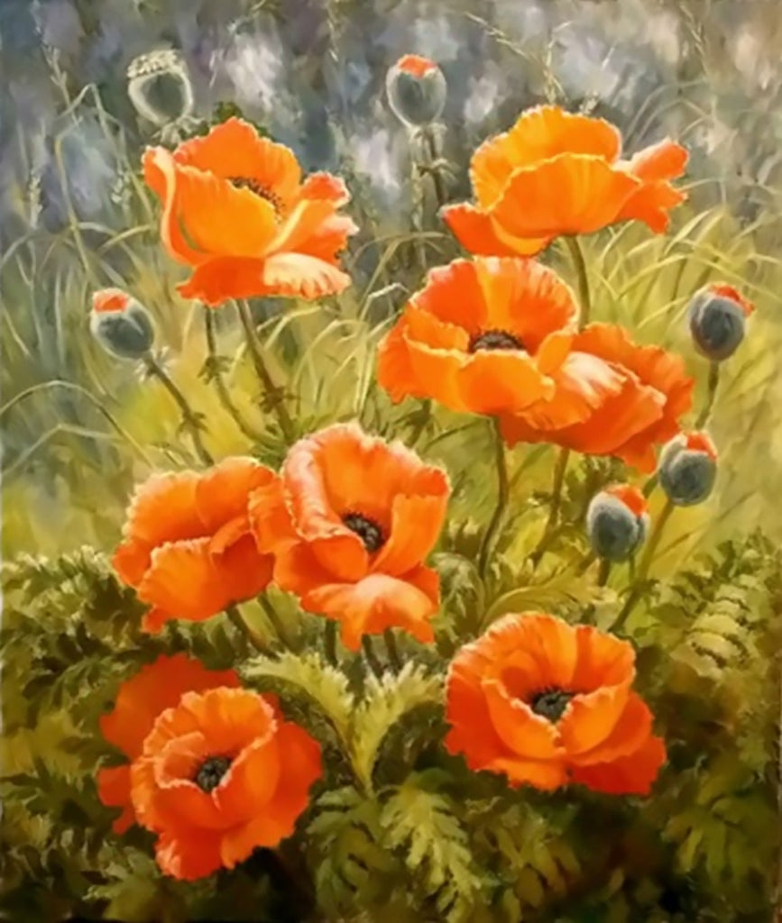Amapolas Anaranjadas Silvestres y Plantas de Opios Pintar por Números