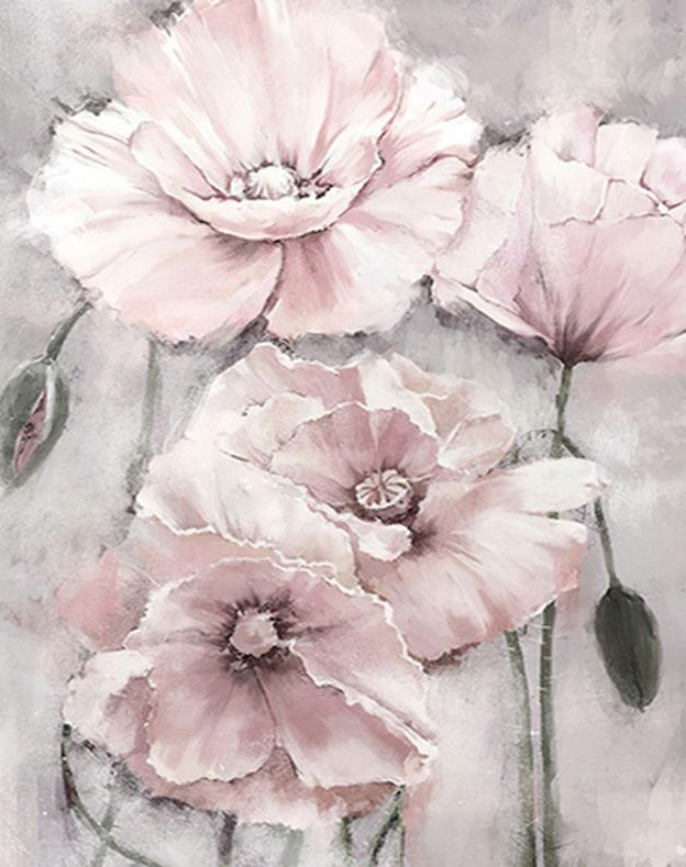 Amapolas de Color Rosado Claro Pintar por Números