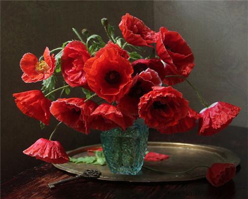 Amapolas Rojas en Jarrón de Cristal con Fondo Oscuro Pintar por Números