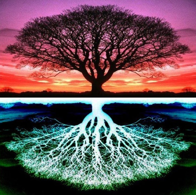 Árbol al Atardecer y Reflejo Blanco en Oscuridad Pintar por Números