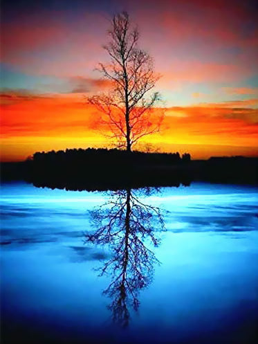 Árbol al Atardecer y Su Reflejo en Fondo Azul Pintar por Números
