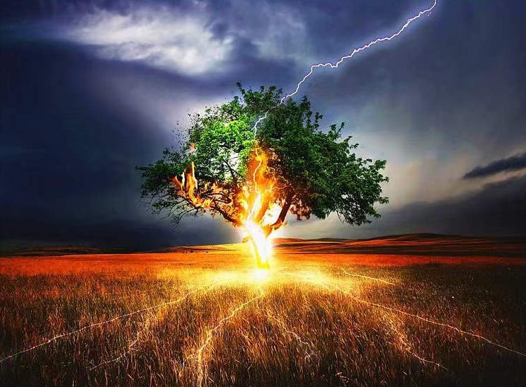 Árbol con Relámpagos en Lugar Despoblado Pintar por Números