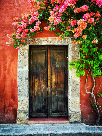 Árbol de Flores y Puerta de Madera y Pared Roja Pintar por Números