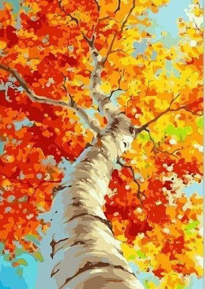 Árbol de Hojas Otoñales Visto desde Abajo Pintar por Números