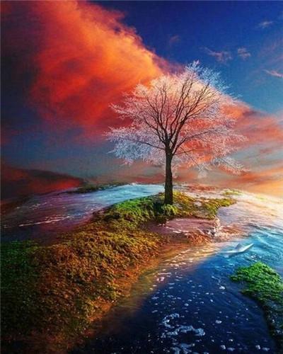 Árbol en Isla Aislada con Nubes Rojas Pintar por Números