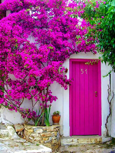 Árbol Floral y Puerta Rosada Brillante y Pared Blanca Pintar por Números
