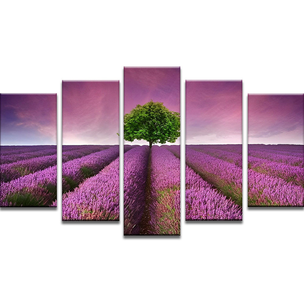 Árbol Verde en el Campo Enorme de Lavándula 5 Partes Pintar por Números