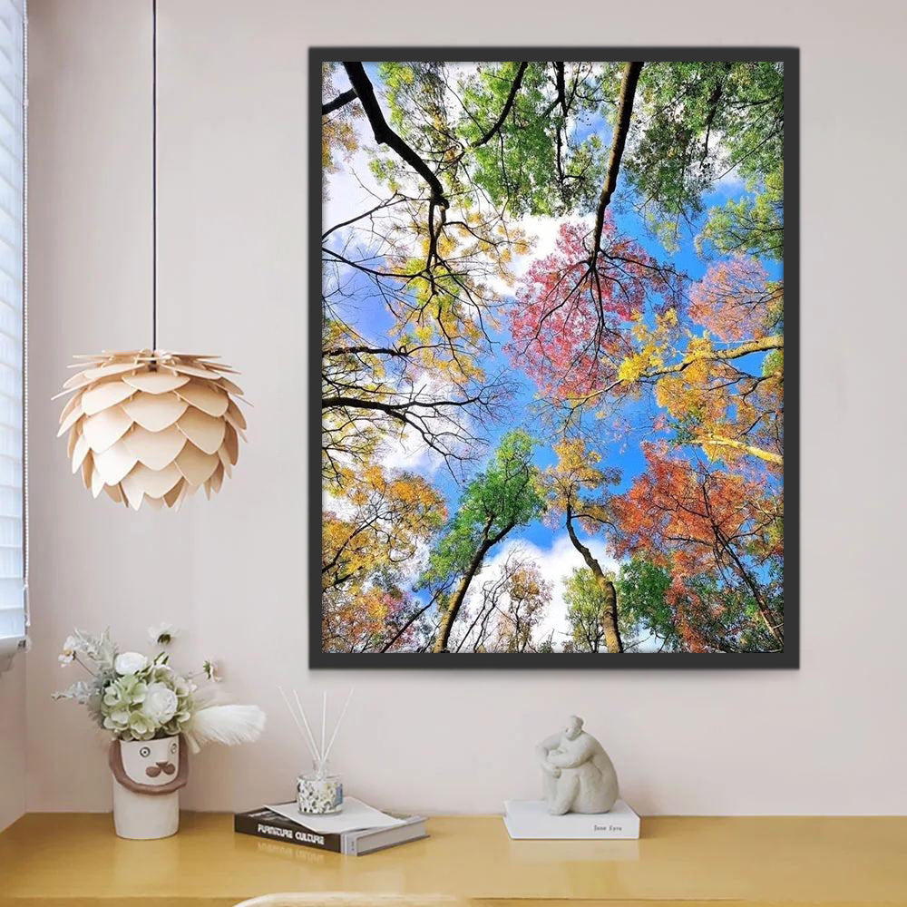 Árboles de Colores Diferentes Vistos desde Abajo Pintar por Números