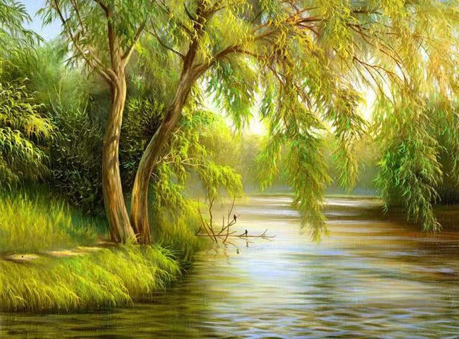 Árboles Verdes Crecidos al Lado de Río Pintar por Números