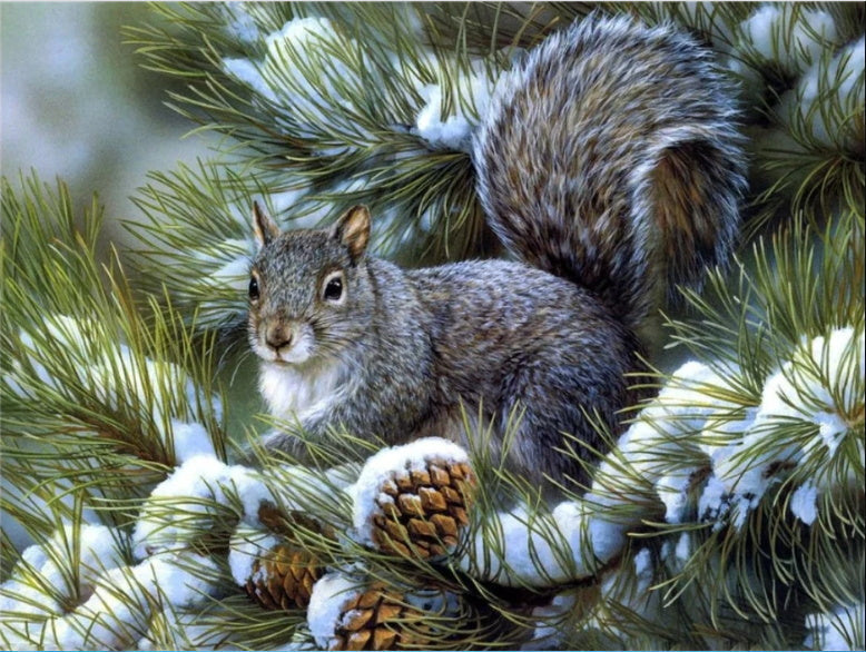Ardilla en Árbol de Pino Invernal Pintar por Números