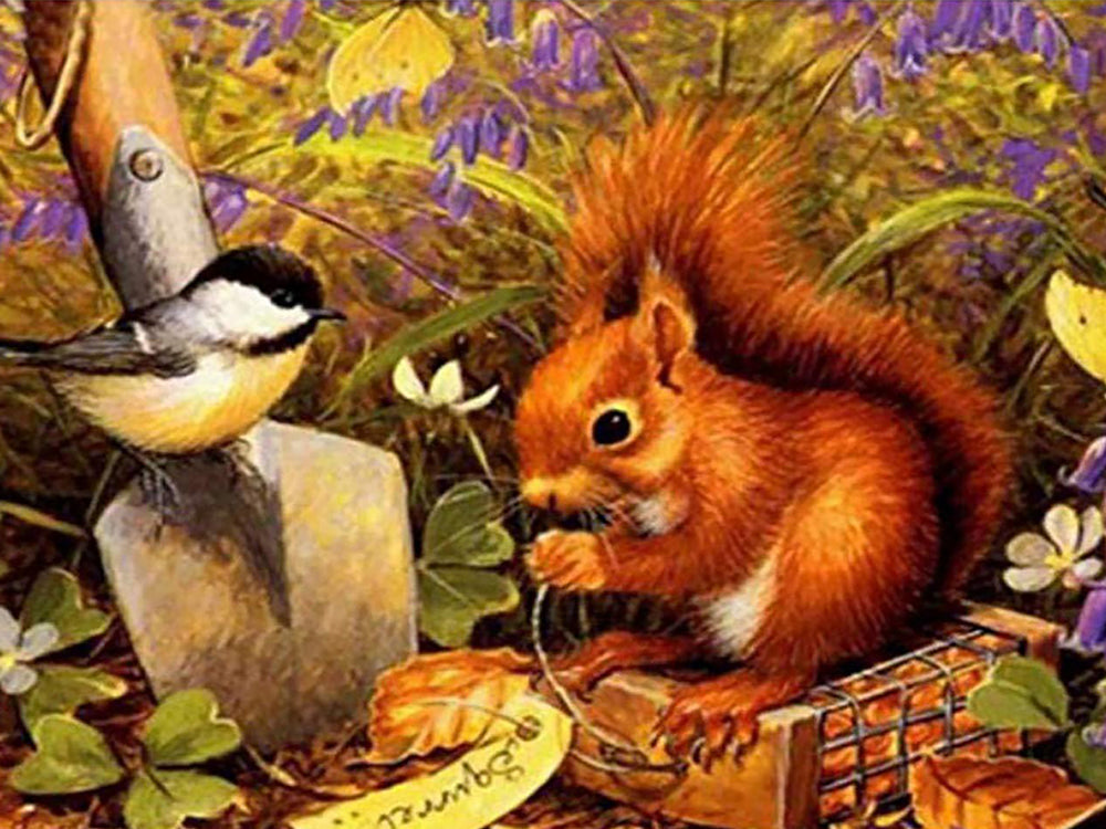 Ardilla y Pajarito en el Césped Pintar por Números