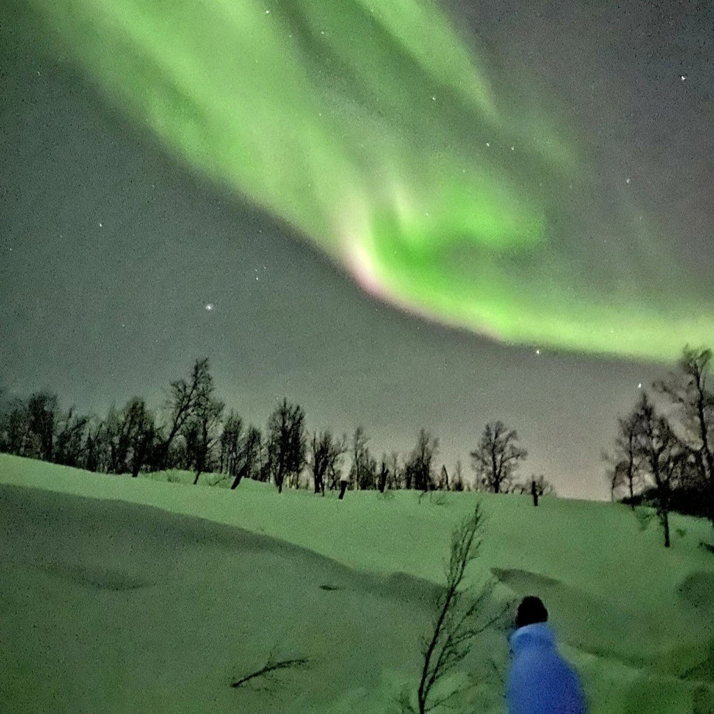Aurora Verde en el Valle Pintar por Números