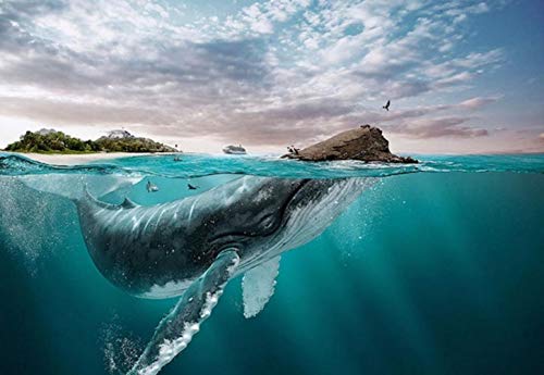 Ballena en el Mar y Islas Pintar por Números