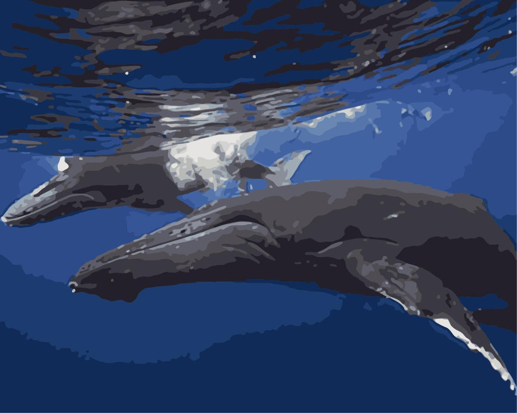 Ballenas en el Mar Azul Oscuro Pintar por Números