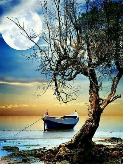 Barco y Árbol y La Luna Llena Pintar por Números