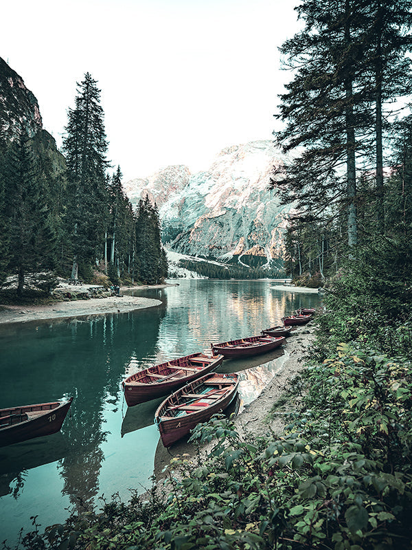 Barcos en el Río de Bosque Pintar por Números